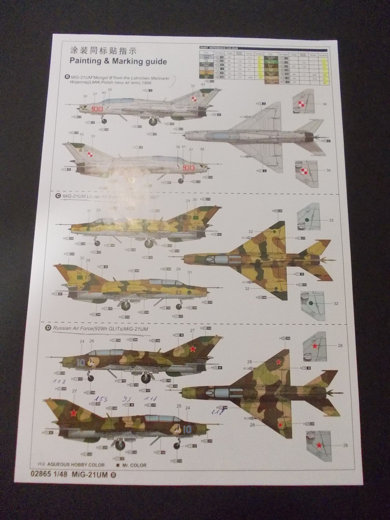 MiG-21 UM Mongol B ... Terminé... [Trumpeter 1/48] 15070410092810194413418451