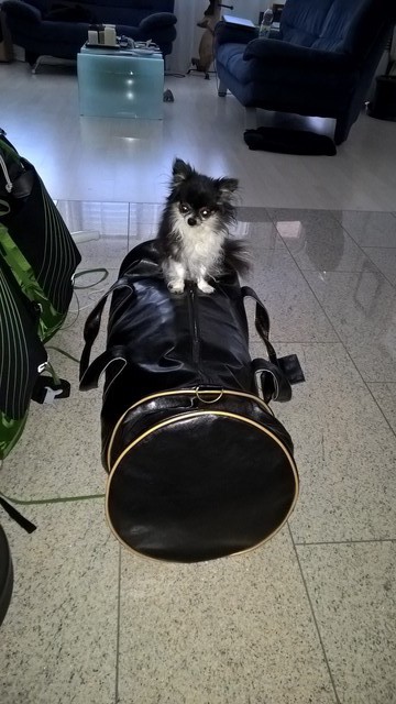 WP_20150710_17_12_43_Pro