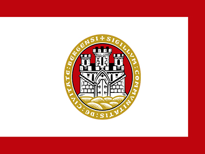 Flag of Bergen City small