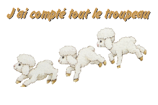 Moutons - J'ai compt&eacute; tout le troupeau &sect;&sect;