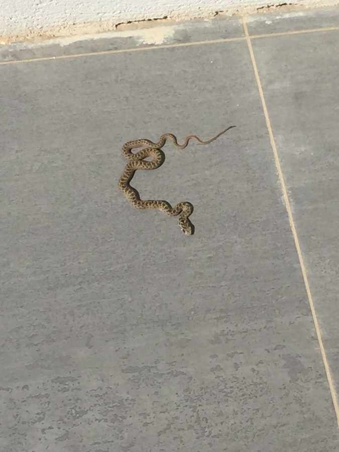 888858b91bf0c491de5283380951daf9