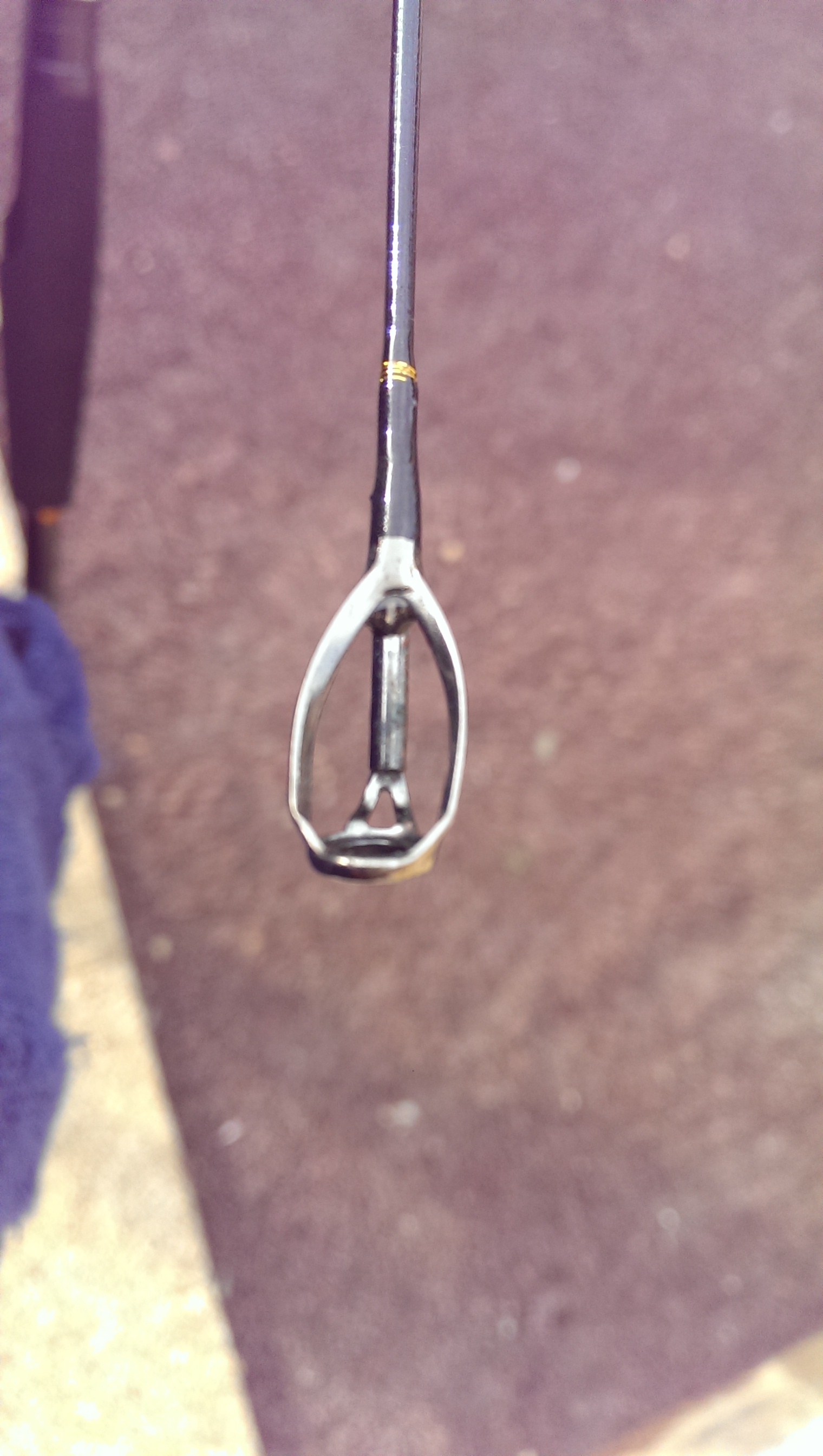 IMAG2827