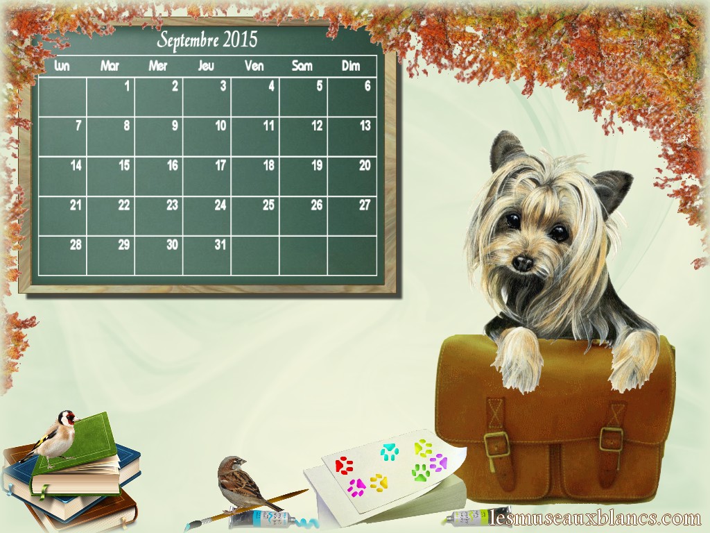 calendrier chien septembre 2015