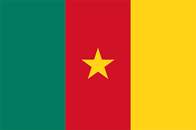 Flag_of_Cameroon small