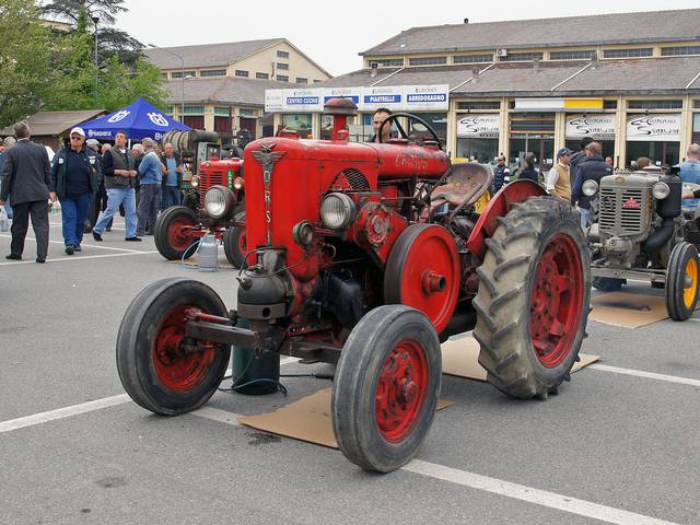 ORSI : le roi de l'Italie 15091701240217714613588078