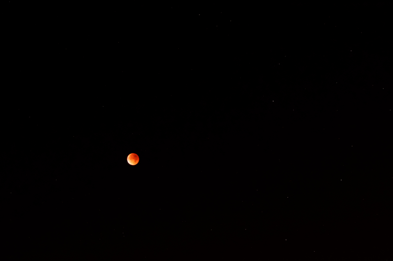 Eclipse de Lune à son Périgée - nuit du 27 au 28 sept. - Page 2 1509281035299137913617436