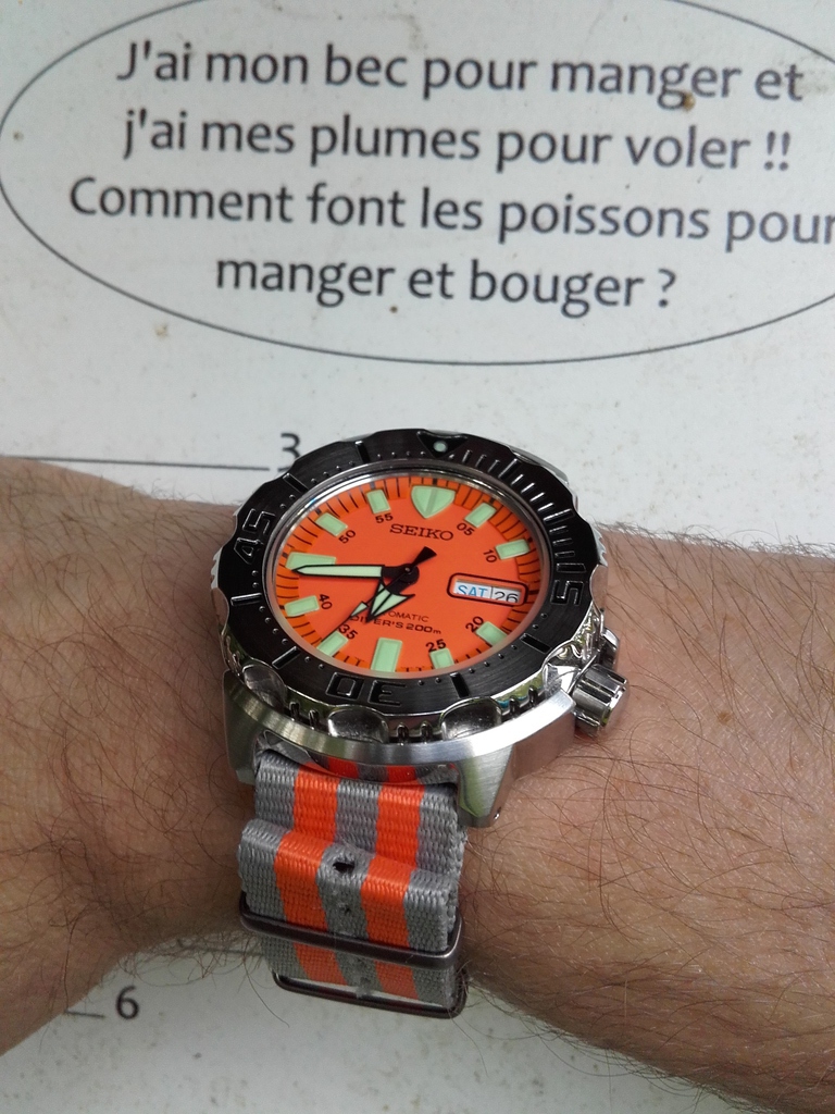 Feu de Monster - Page 2 15092901373214314113618699