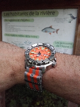 La montre d'Halloween!!! Bouh!! Mini_15092912153014314113618562