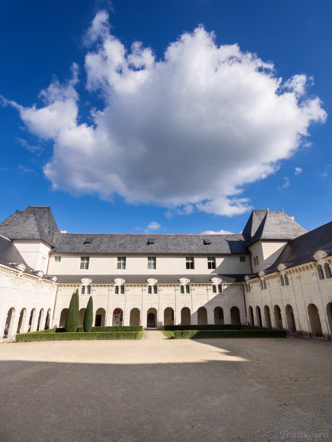 Abbaye de Fontevraud (49) 1510050856555305713637156