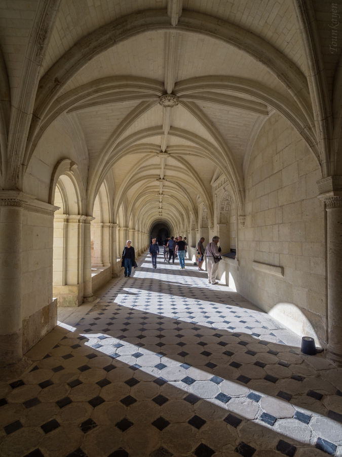 Abbaye de Fontevraud (49) 1510050857255305713637159