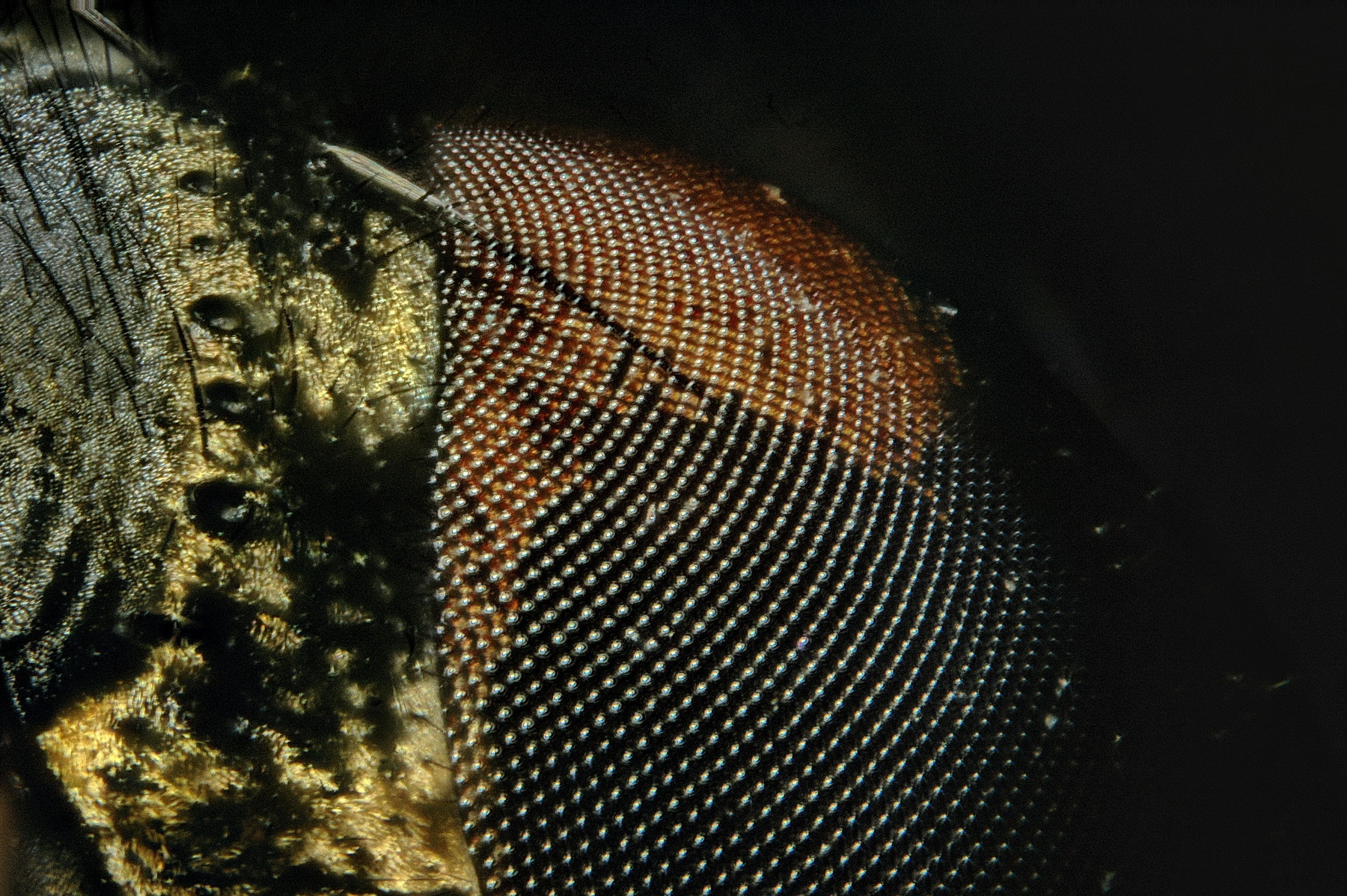 2015-10-06 09-11-05 (C)