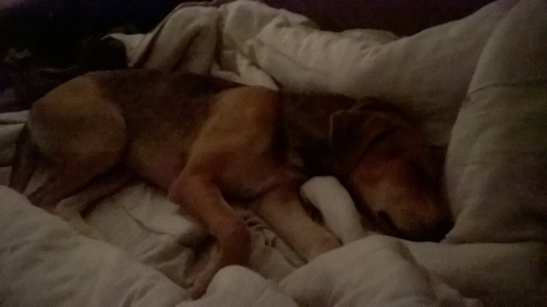 WP_20151010_15_41_17_Pro