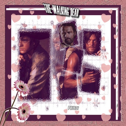 CADRE WALKING DEAD
