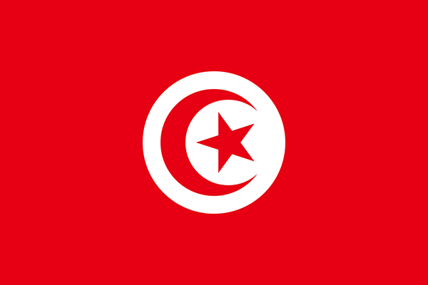 Flag_of_Tunisia small
