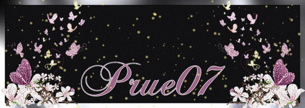 BANIERE SIGNATURE PRUE07