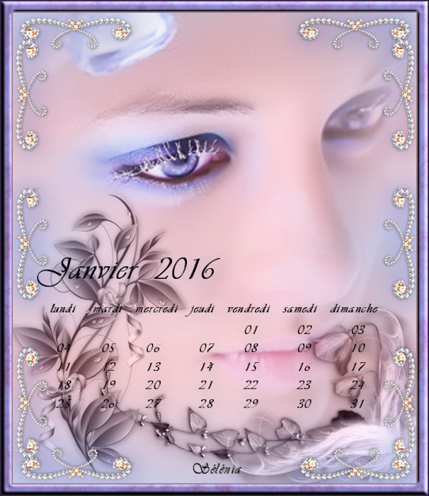 calendrier janvier 2016