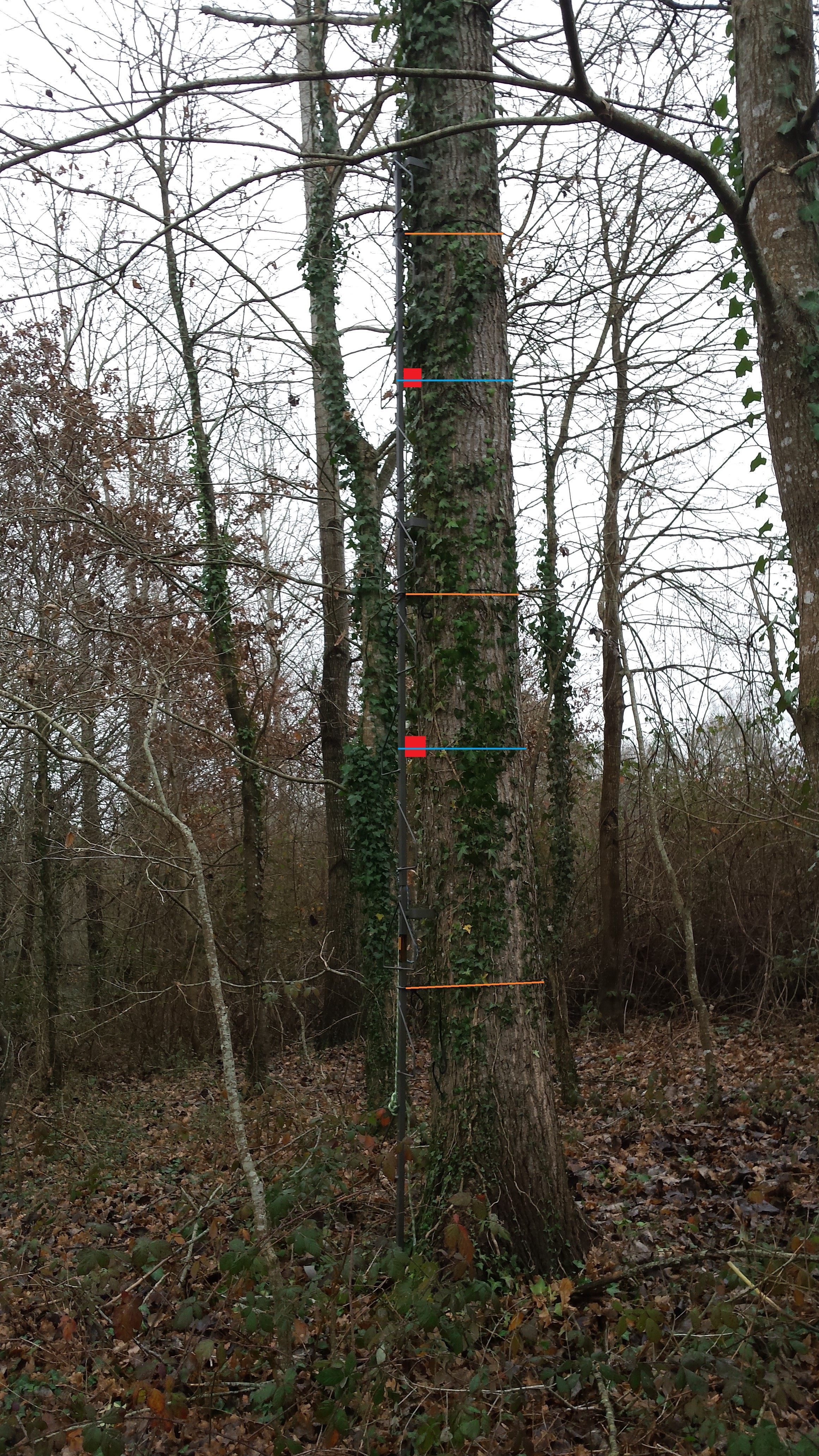 échelle d'affut ou treestand ?  - Page 2 16010408511420960413874588