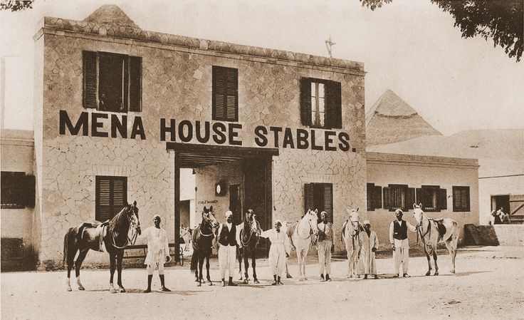 Mena house stables