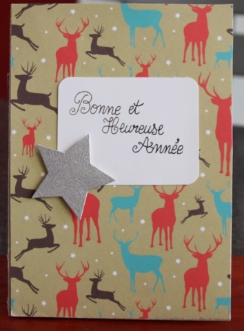 Carte3D - 2015 Mis (11)