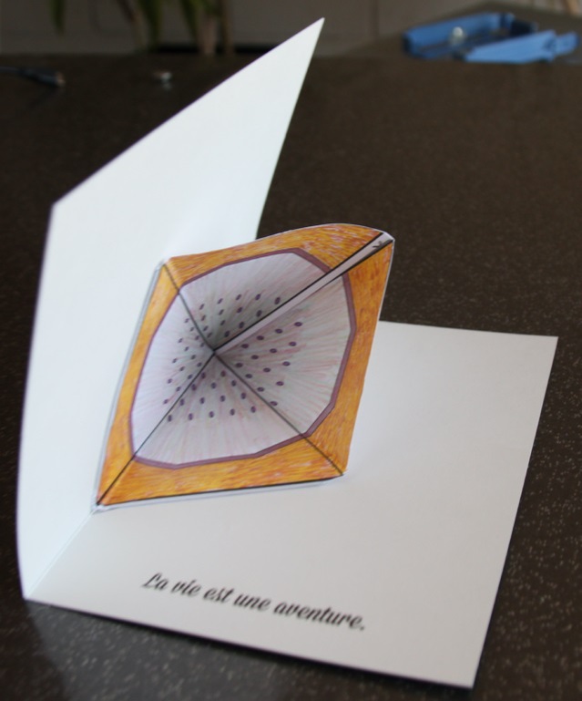 CartePopUp�Sable - IMG_7227 [1024x768]