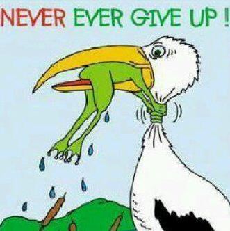 neverevergiveup