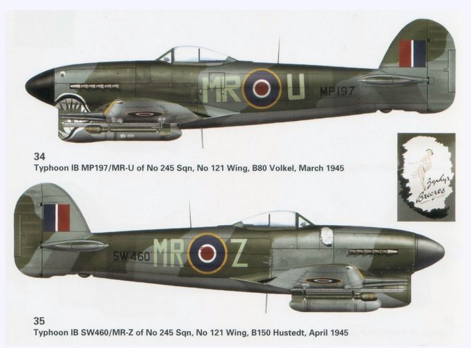 Hawker Typhoon MkIb (Hasegawa 1/48) - Page 2 1604140202389469614144965