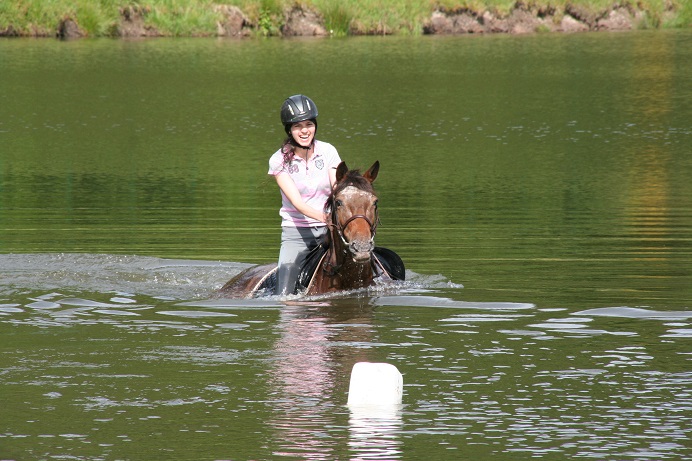 CONCOURS PHOTO n°7 : Les chevaux et l'eau. 1606041017294629514283073