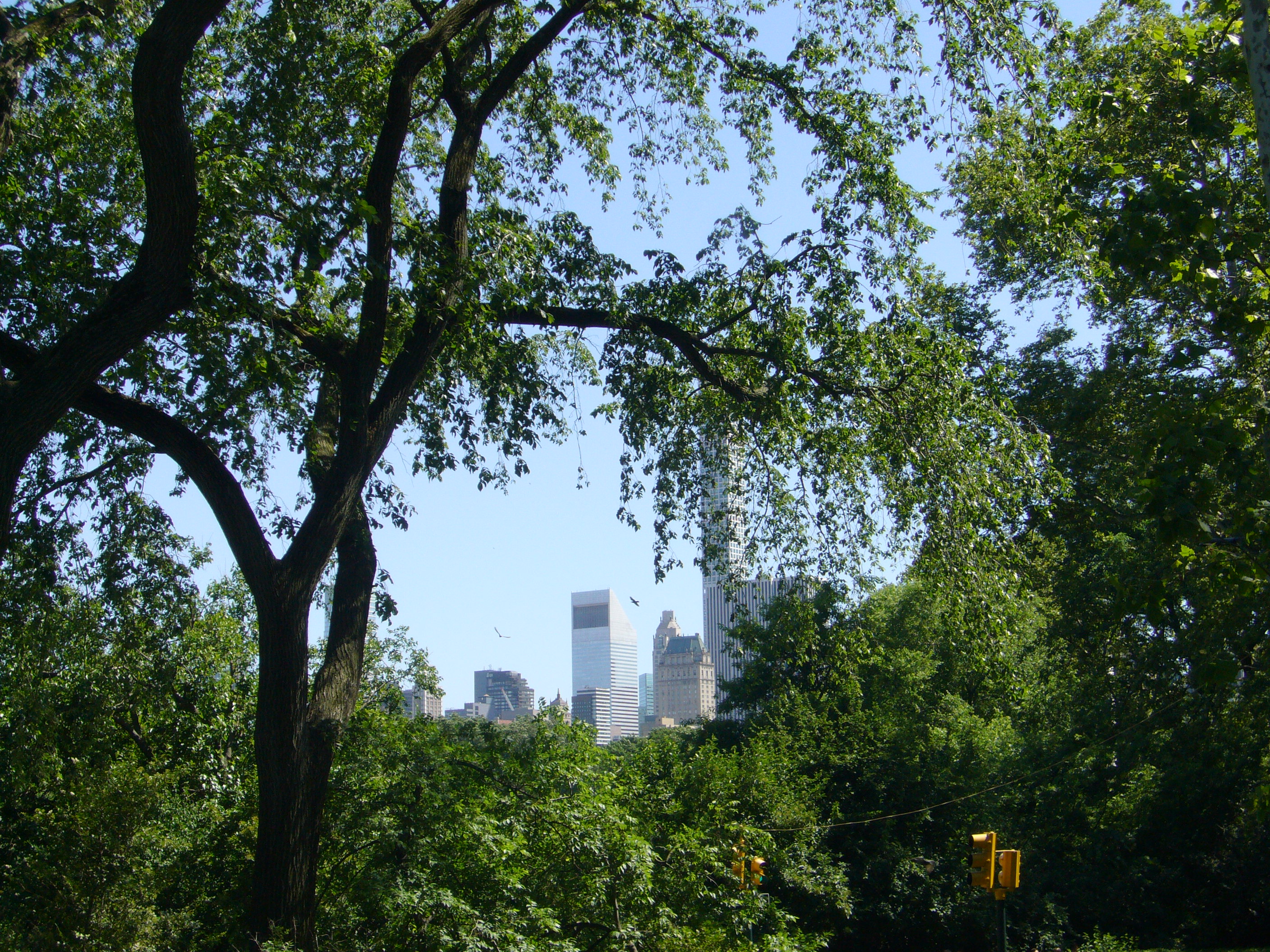 Central Park2