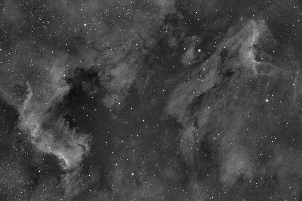 final-log-PS-gris-avec-red bruit et etoile1000p