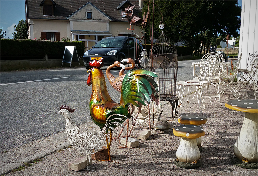 Les poulets surveillent la route ... 1608221157046131114446376