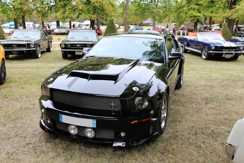 mustang 2 f