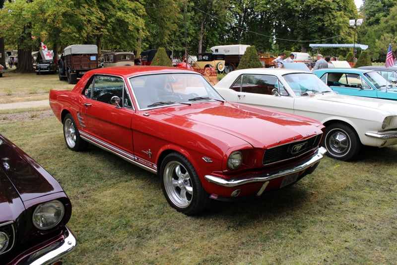mustang 5f