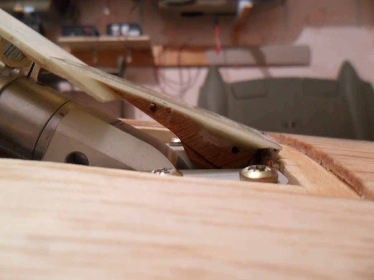 SAM_4421