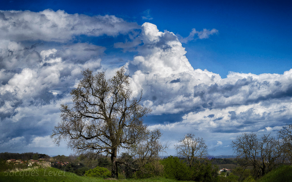 Paysage/ Campagne / Montagne - Page 17 1611040427535667314607128