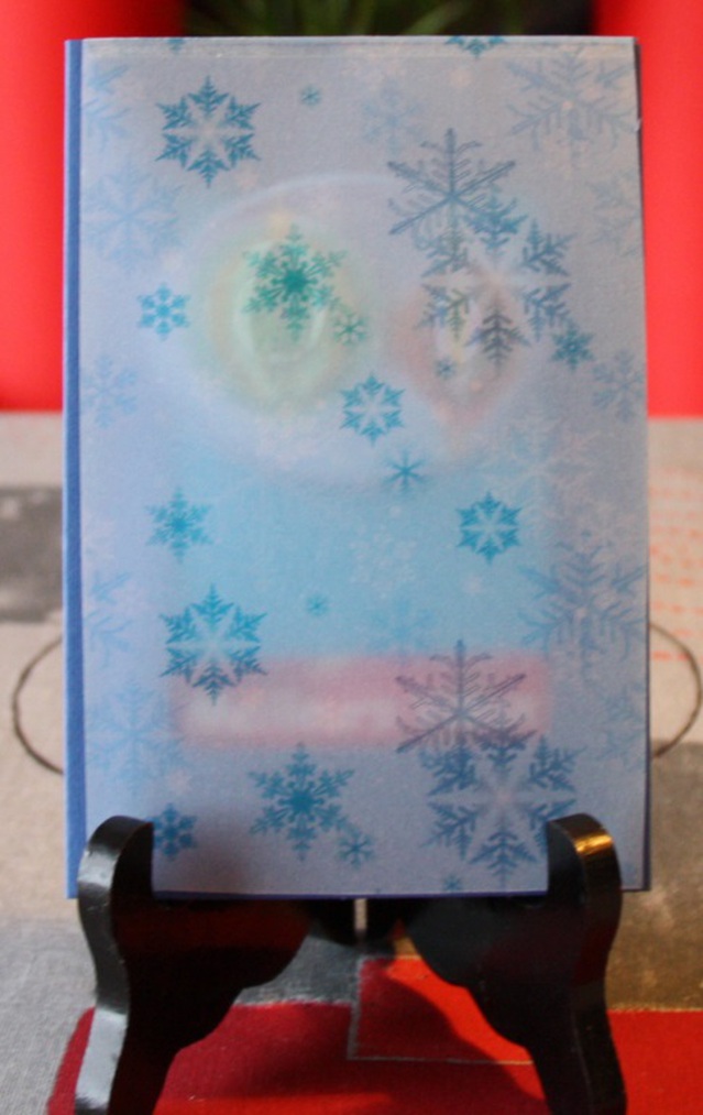 Carte3D - 2016 3D  (12)