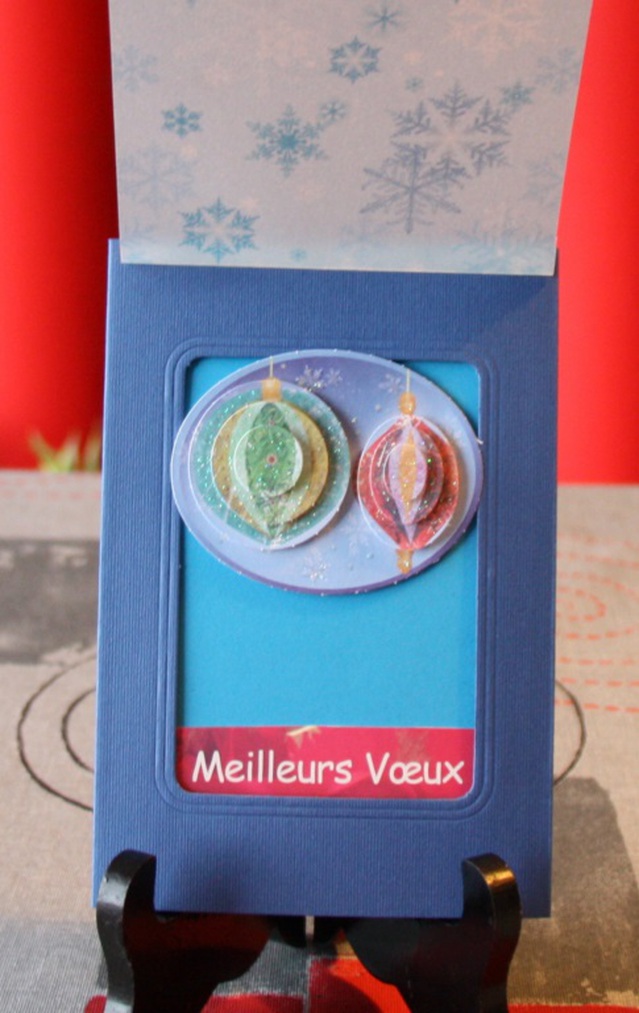 Carte3D - 2016 3D  (13)