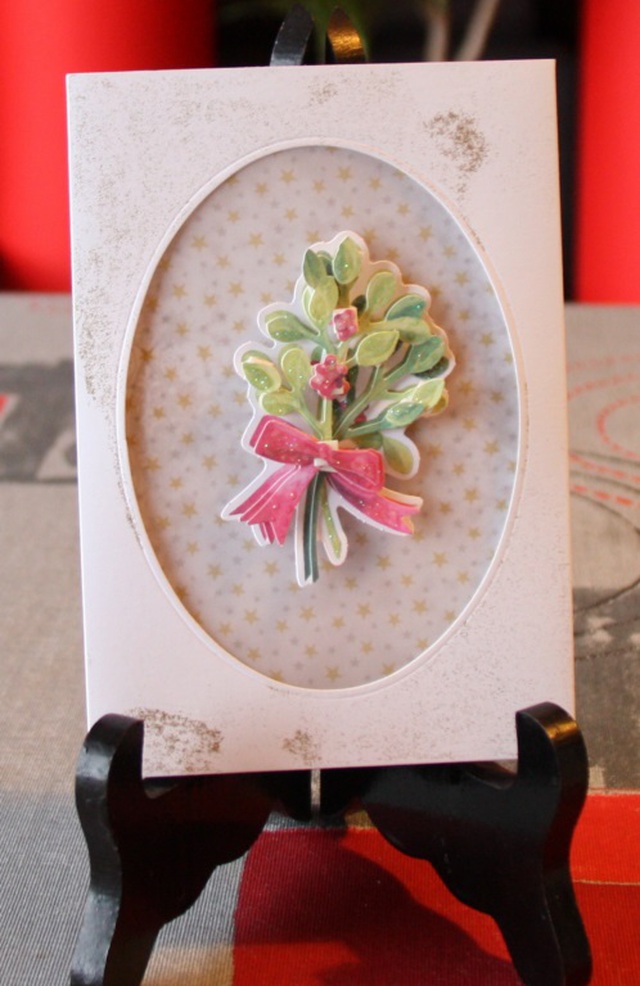 Carte3D - 2016 3D  (16)