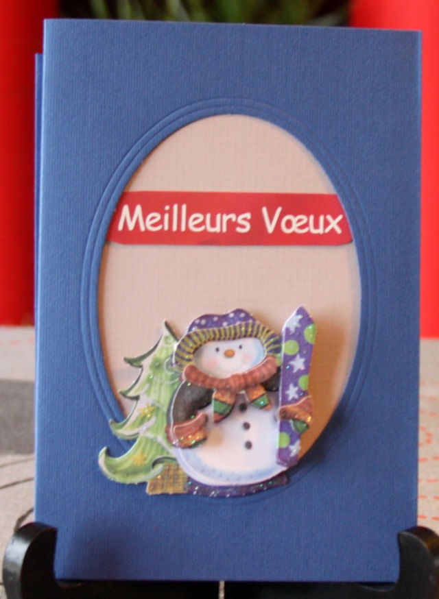 Carte3D - 2016 3D  (19)