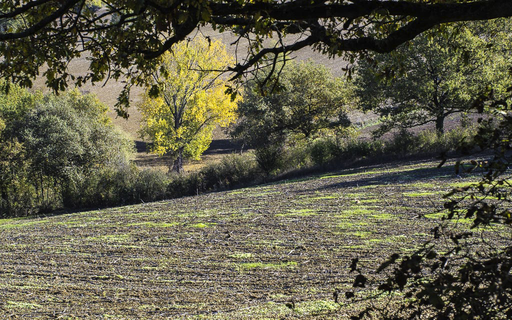 Paysage/ Campagne / Montagne - Page 19 1611190902445667314646025