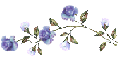 fleursbleues2