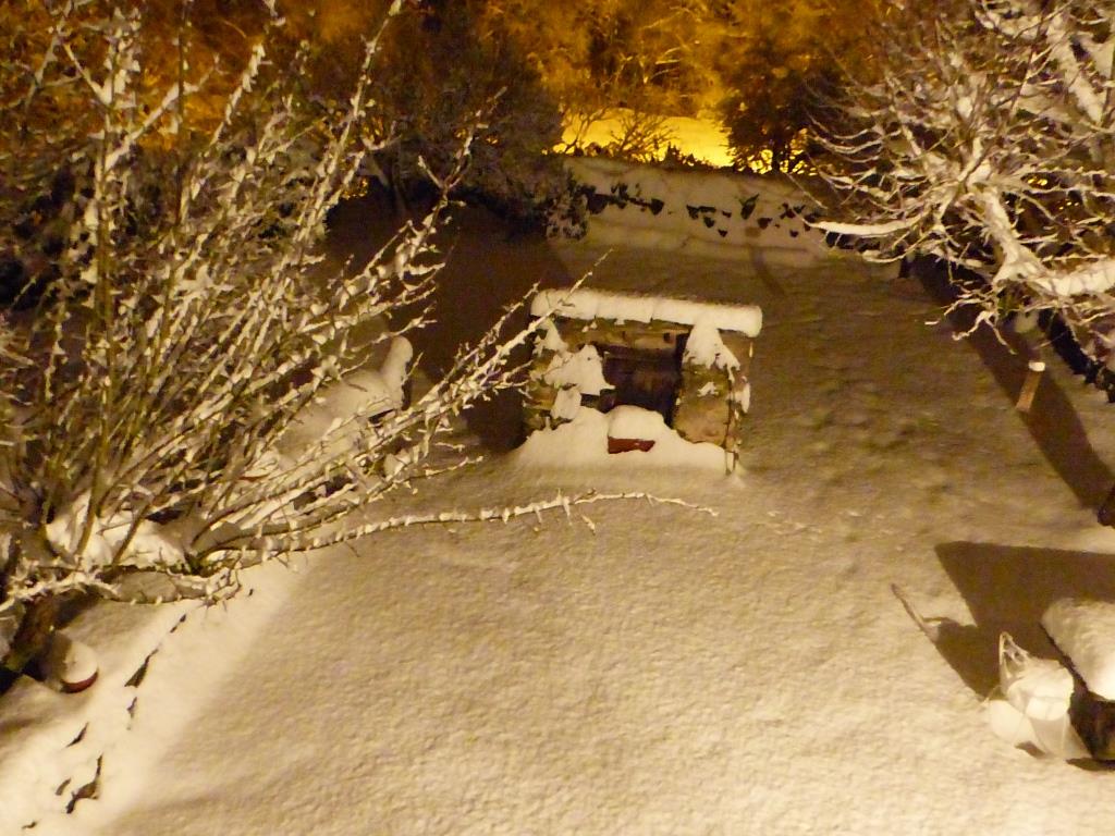 neige François bouna 26 01  (2)