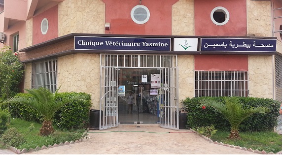 [Maroc/Commerces]  Véto et centre de toilettage pour chien : où ? 17012801145218477114807627